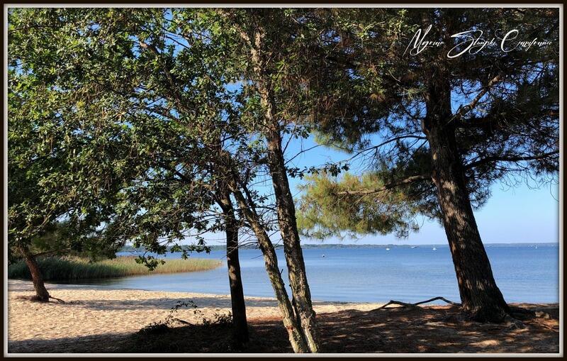 Maison - 330 m² - 7 pièces