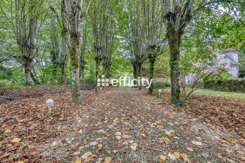 Bureau - 270 m² - 8 pièces