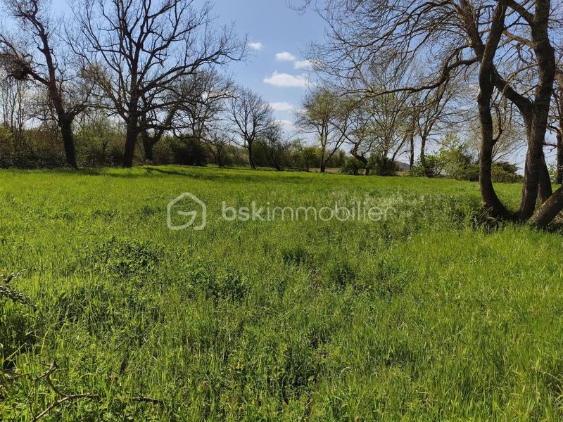 Maison en pierre - 145 m² - 5 pièces