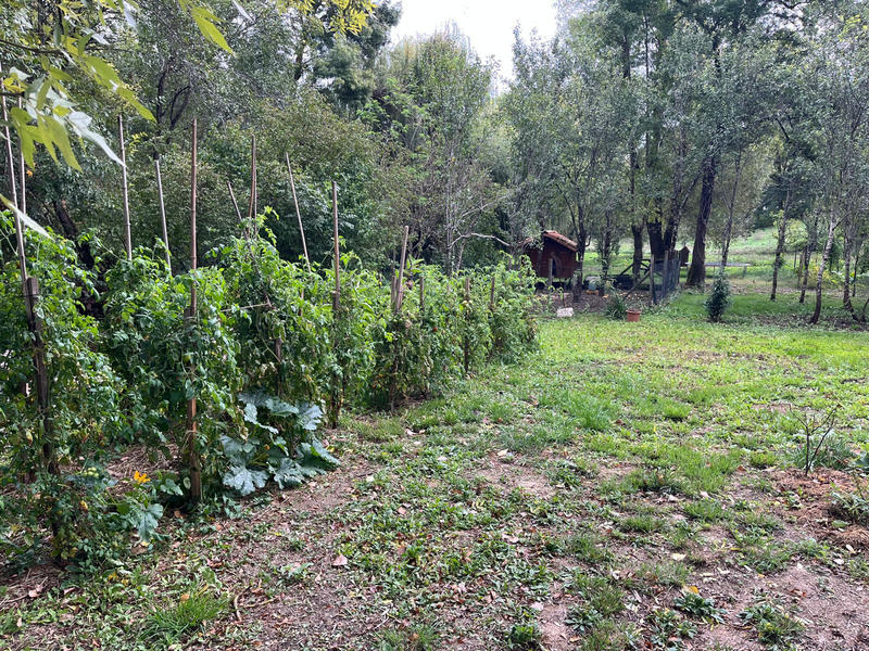 Maison - 175 m² - 7 pièces