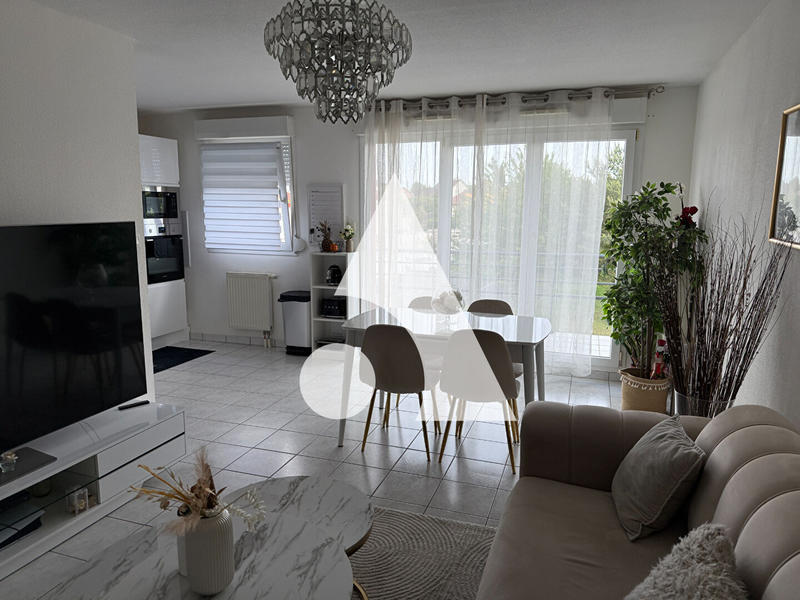 Appartement - 50 m² - 2 pièces