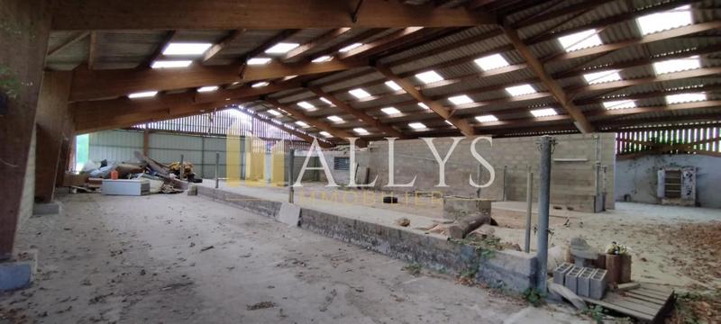 Local d'activité / Entrepôt - 2 101 m²