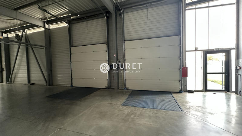 Local d'activités - 1 100 m²