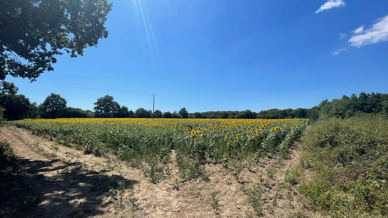 Terrain - 422 862 m²