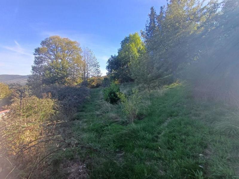 Maison en pierre - 126 m² - 4 pièces