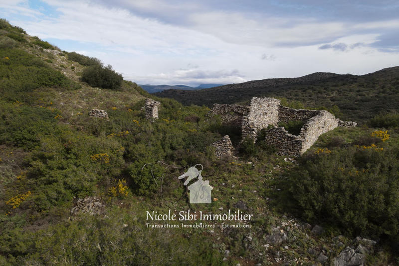 Terrain - 54 574 m²