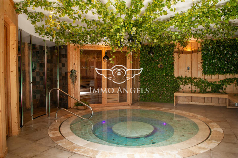 Château - 1 400 m² - 38 pièces