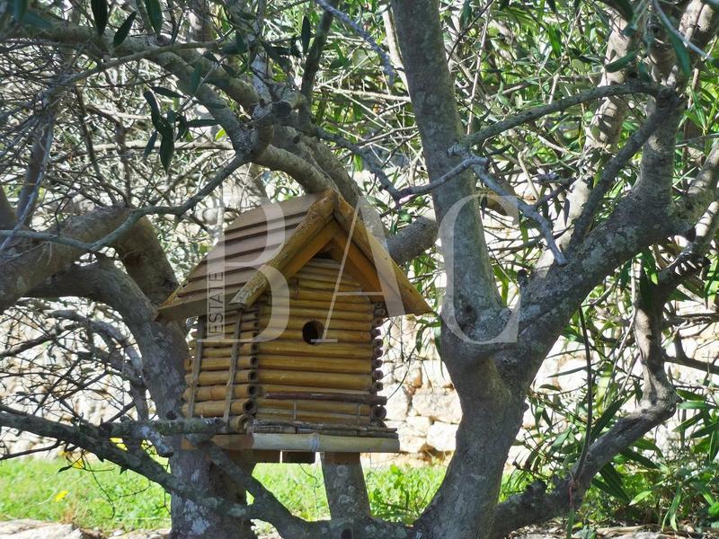 Villa - 330 m² - 8 pièces