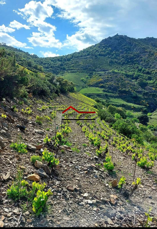 Terrain agricole - 24 000 m²