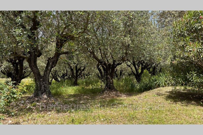 Mas - 332 m² - 10 pièces