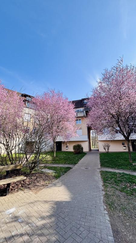 Appartement - 55 m² - 2 pièces