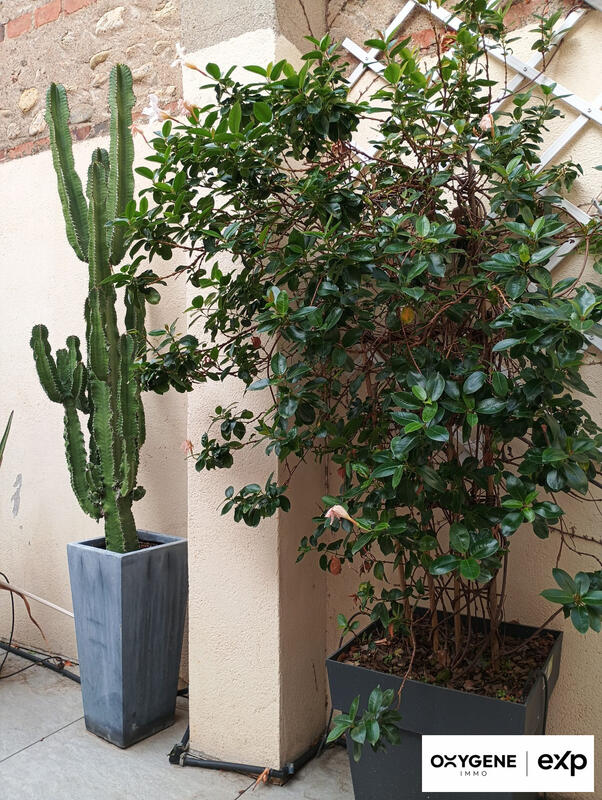 Appartement - 92 m² - 4 pièces