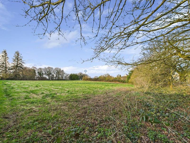 Terrain constructible - 2 273 m²