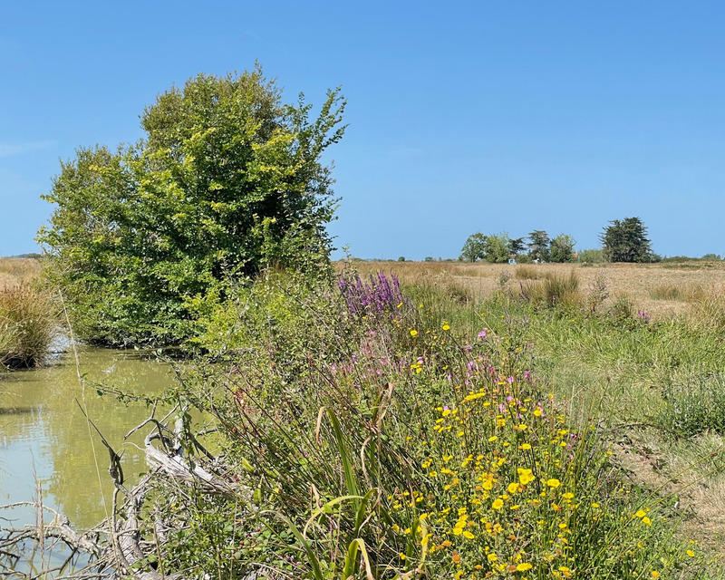 Longère - 97 m² - 5 pièces