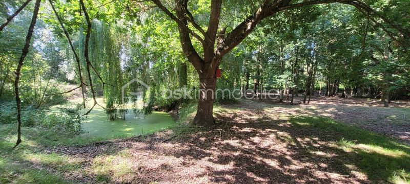 Maison en pierre - 175 m² - 7 pièces