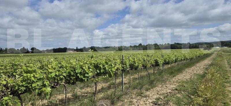 Terrain - 190 000 m²