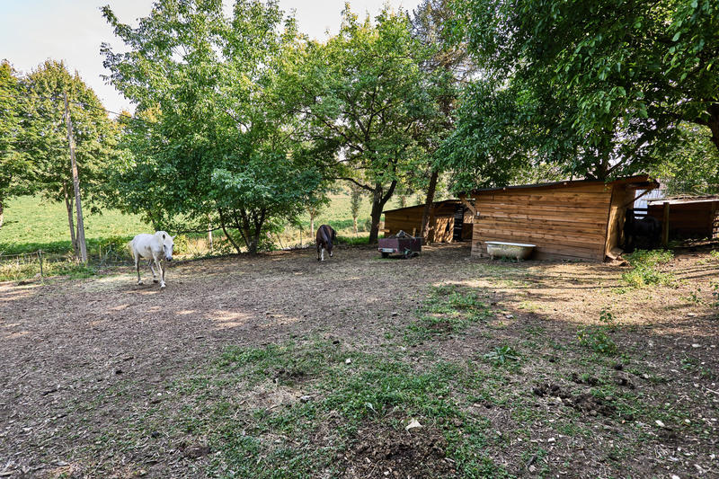 Maison - 211 m² - 7 pièces