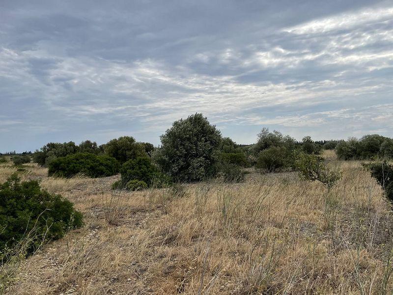 Terrain - 10 558 m²