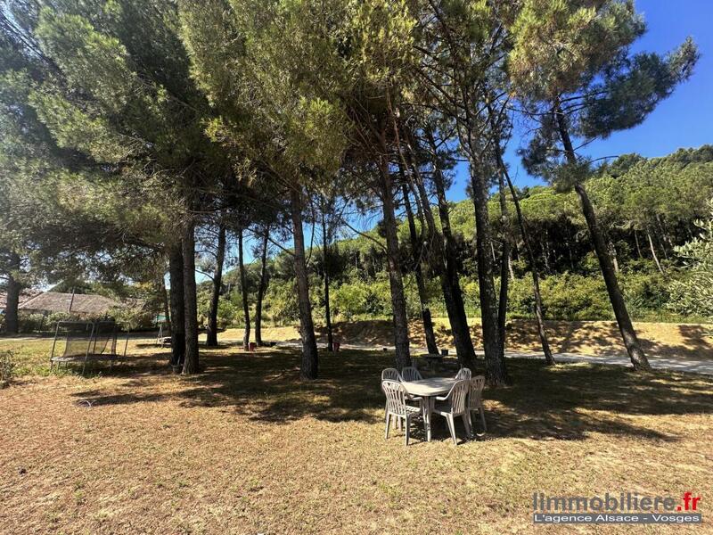 Mas - 300 m² - 9 pièces