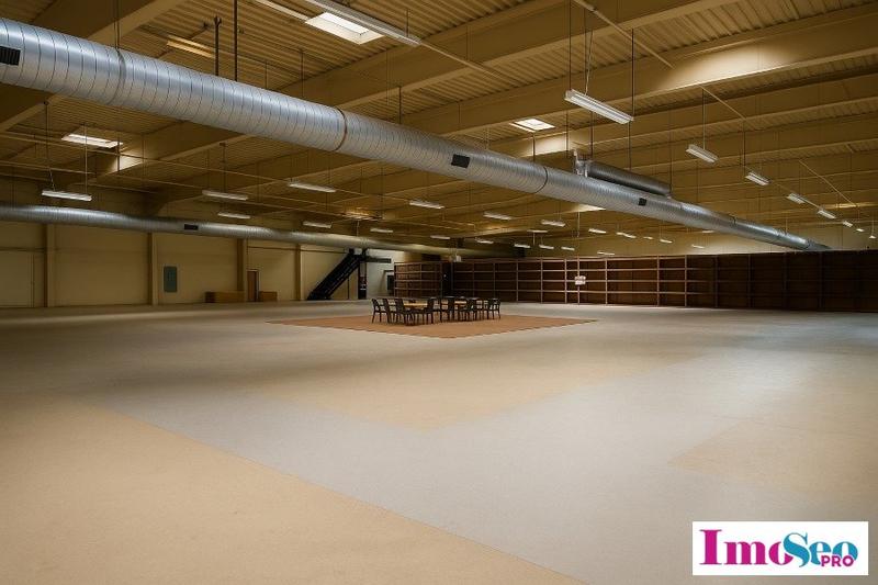 Local d'activité / Entrepôt - 3 350 m²