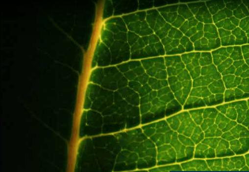 Appartement - 57 m² - 2 pièces