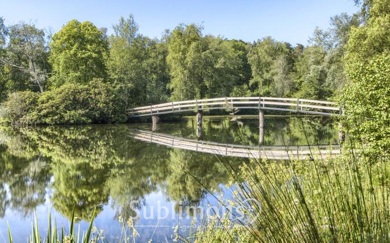 Propriété - 283 m² - 9 pièces