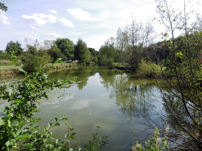 Terrain - 12 496 m²