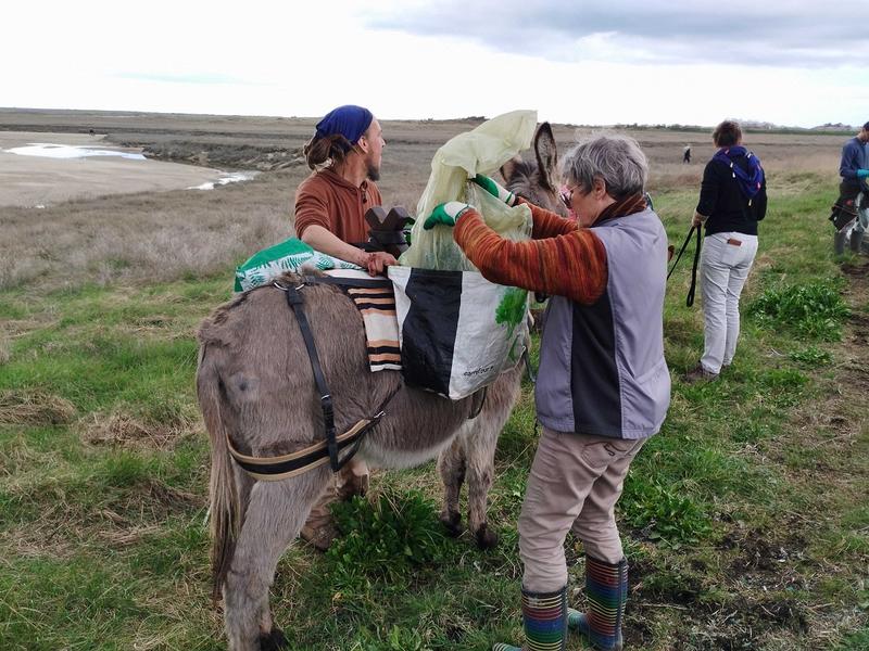 Chantier de nettoyage havre de Surville