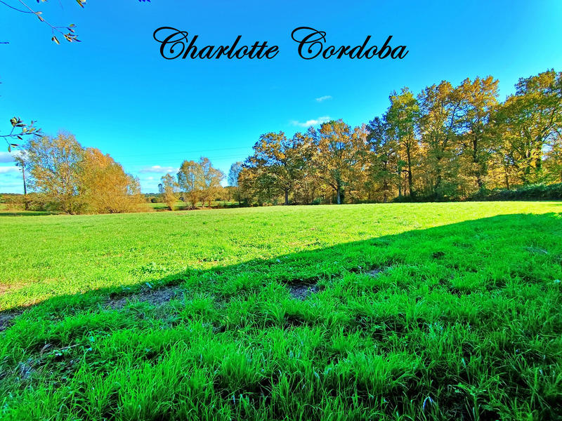 Maison - 146 m² - 5 pièces