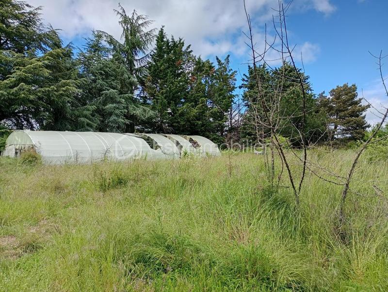 Demeure - 250 m² - 10 pièces