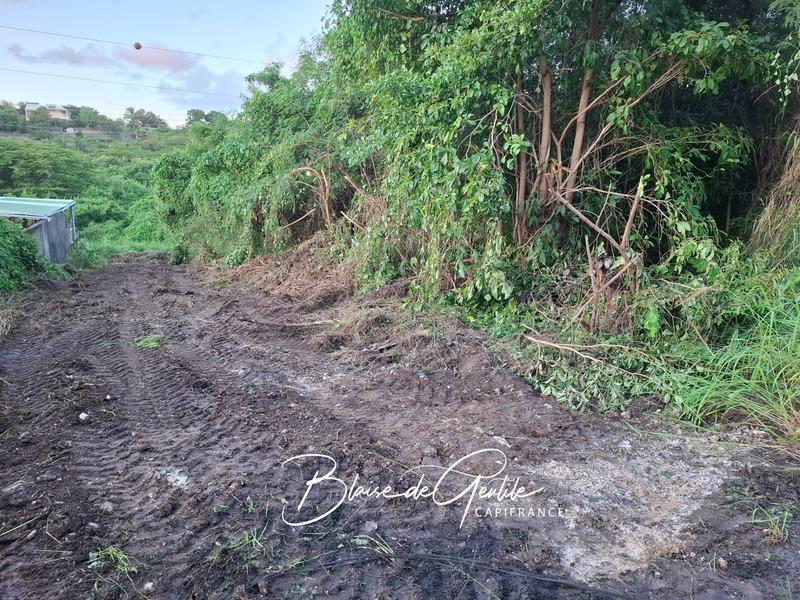 Terrain constructible - 2 000 m²