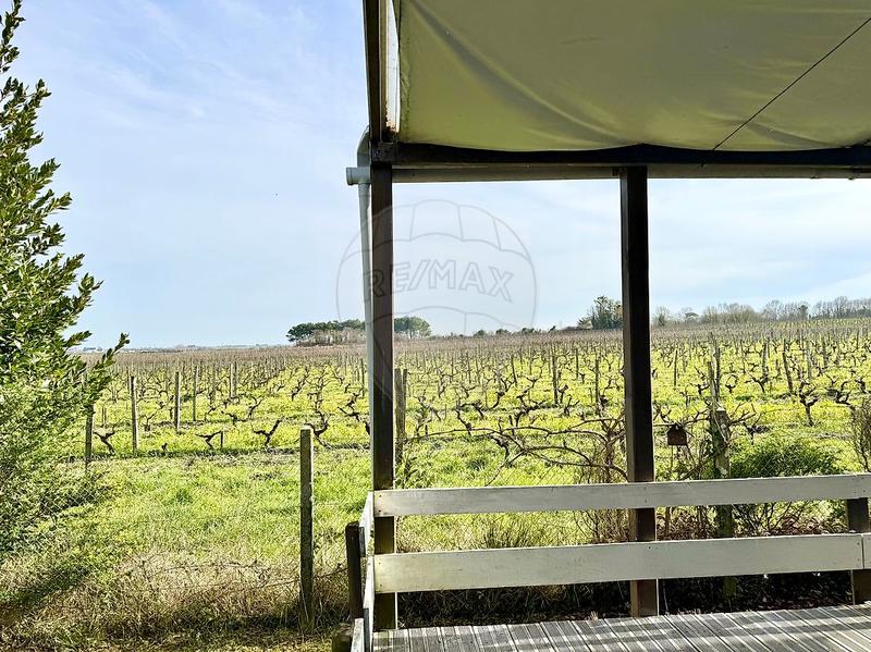 Maison - 75 m² - 3 pièces