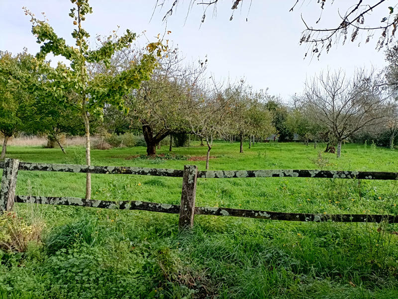 Maison - 287 m² - 10 pièces