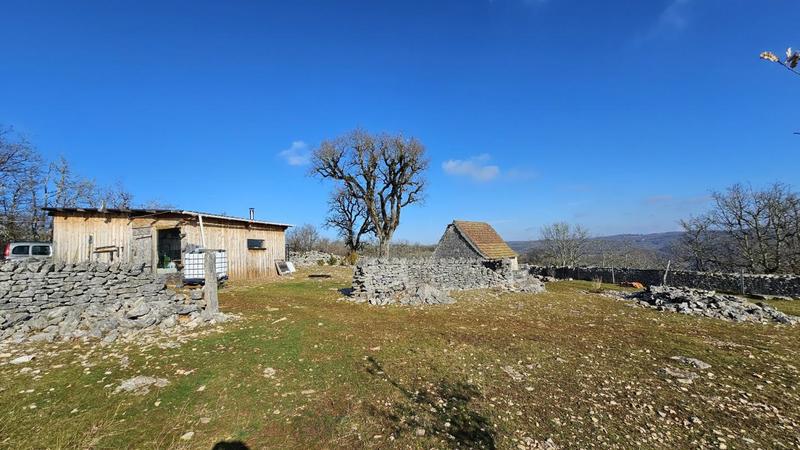 Terrain - 80 524 m²