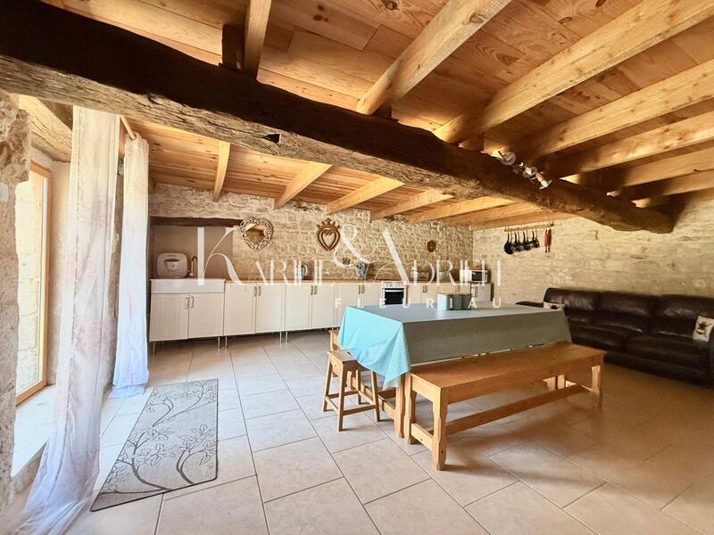 Maison - 365 m² - 11 pièces