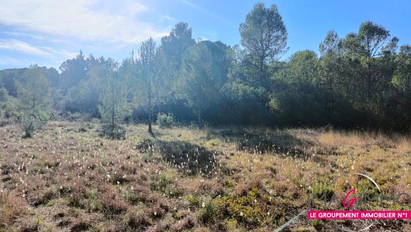 Terrain agricole - 5 224 m²
