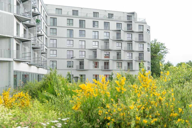 Studio - 18 m² - 1 pièce