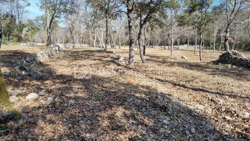 Terrain - 10 520 m²