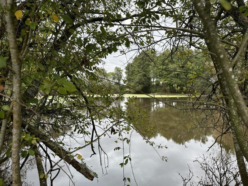 Terrain de loisirs - 8 220 m²