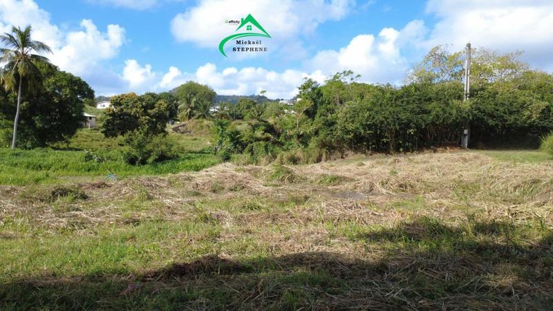 Terrain constructible - 1 241 m²