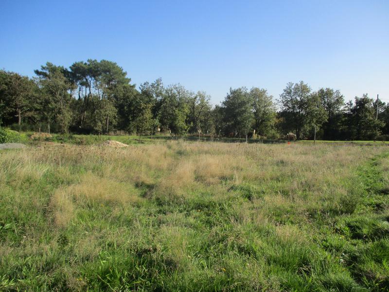 Terrain - 512 m²