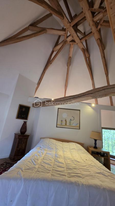 Moulin - 402 m² - 10 pièces