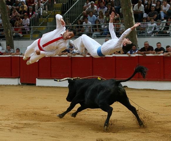 Course landaise formelle