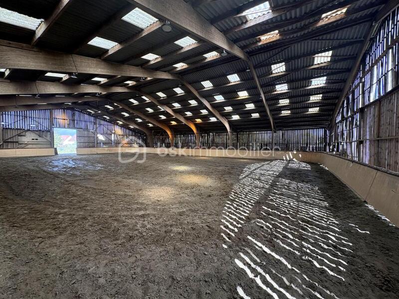 Maison de domaine équestre - 7 786 m² - 7 pièces