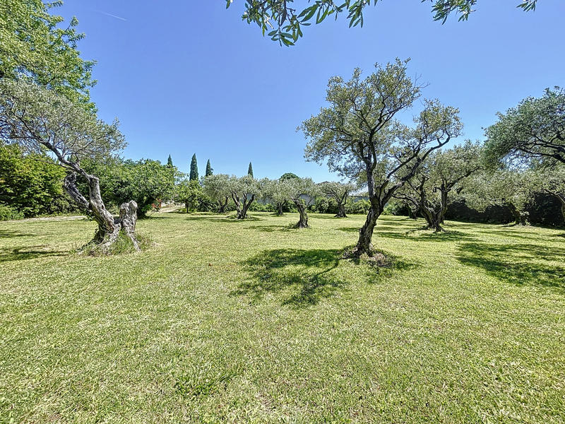 Terrain - 1 100 m²