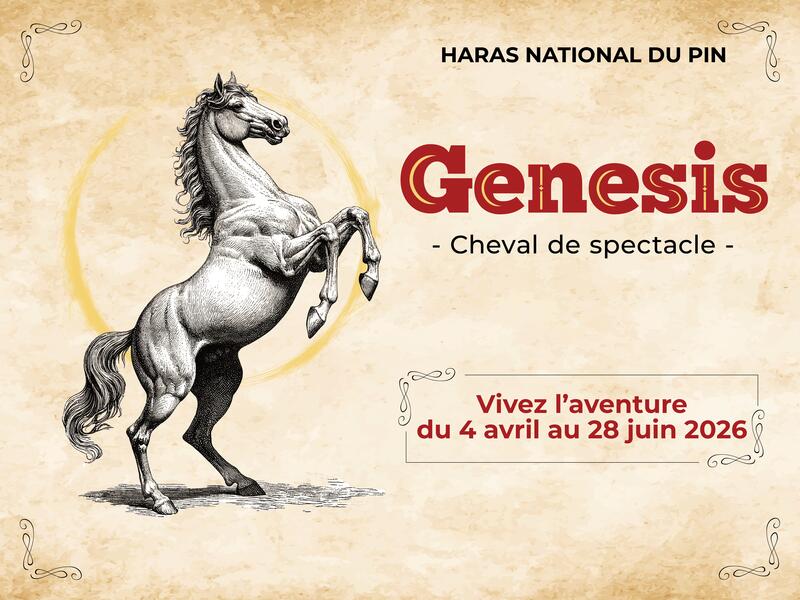 Spectacle équestre : Genesis, cheval de spectacle - l'incroyable aventure