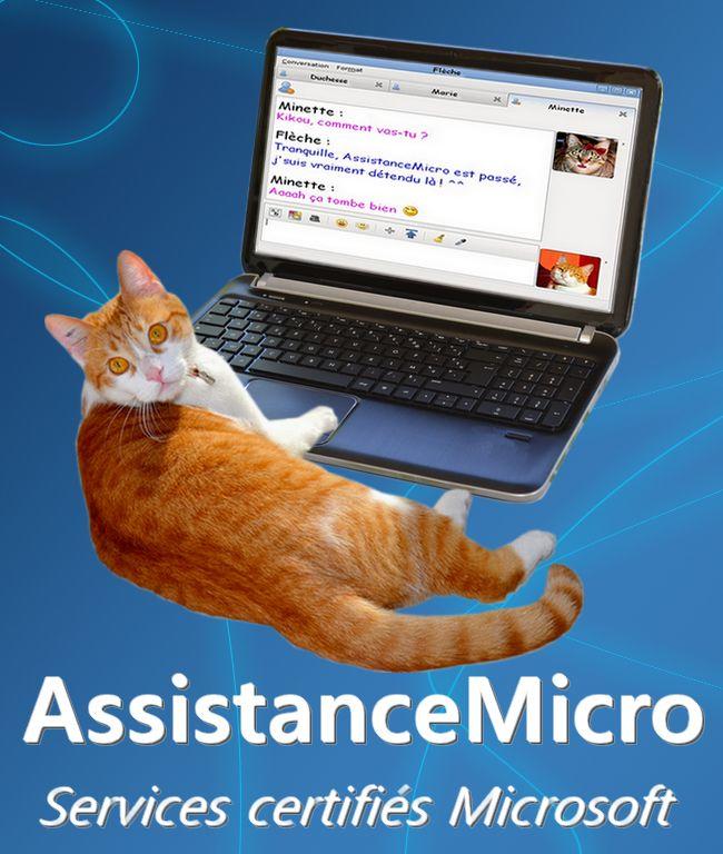 AssistanceMicro