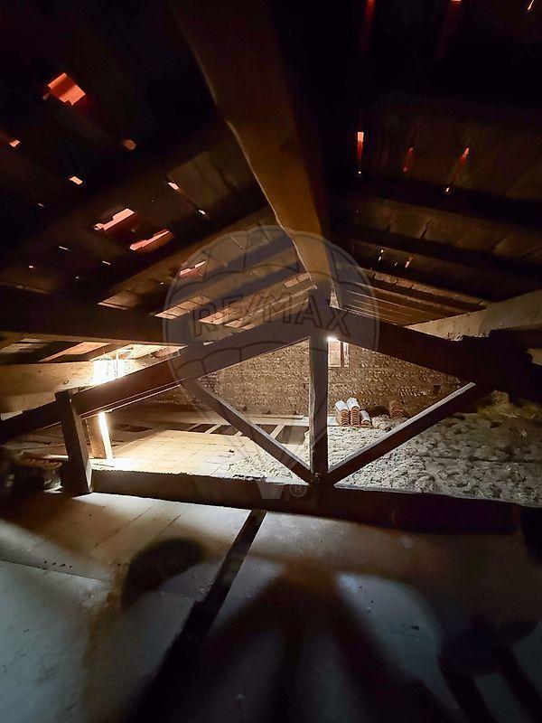 Appartement - 55 m² - 2 pièces