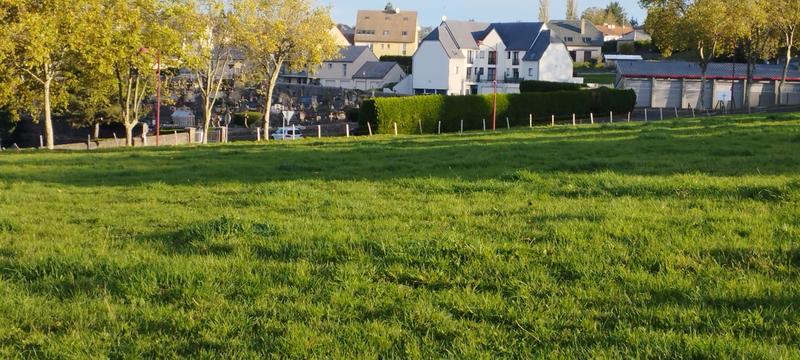 Terrain - 10 000 m²