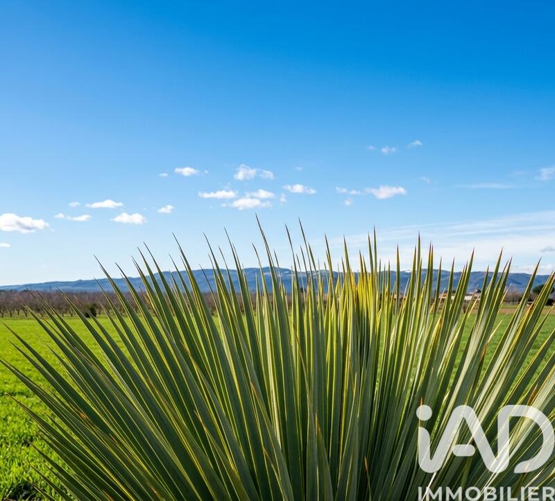 Maison de maîtres - 170 m² - 5 pièces